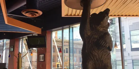 Red Robin Gourmet Burgers