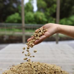 Otten Coffee 여행 사진