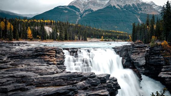 Athabasca Falls
