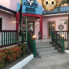 Moby Dick Restaurant ảnh của người dùng