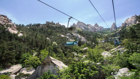 Points forts de la ville de Qingdao avec l'Excursion à la journée au palais de Taiqing du Laoshan (service de guide facultatif)