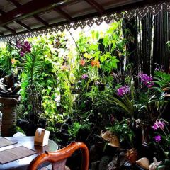 Natural Restaurant User Photo