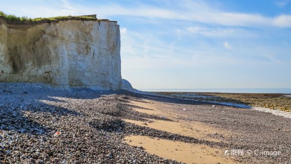 London, England: King's Pavilion + Seven Sisters National Park + British Airways i360 Observation Tower one-day tour