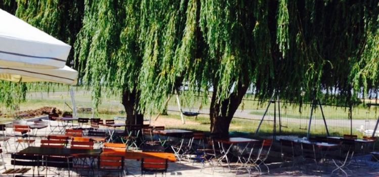 Trattoria Volare
