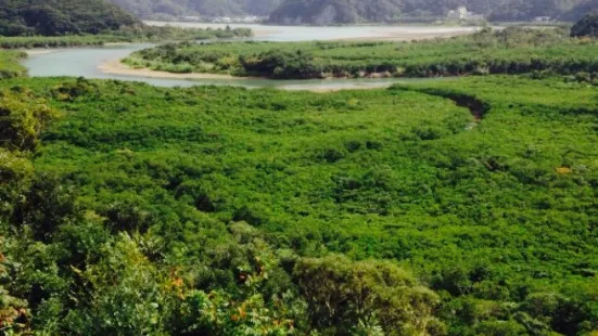 National Tourism Park Mangrove Chaya