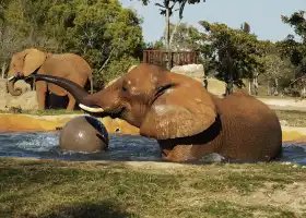 Zoo Miami
