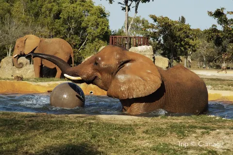 Zoo Miami