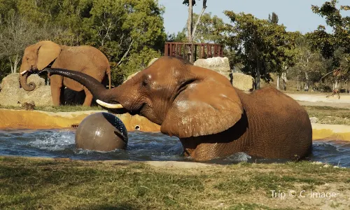 Zoo Miami