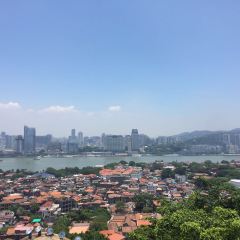 Yeshi Fried Glutinous Pudding User Photo