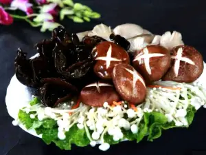 Li'erxianyucun (wudangshan)
