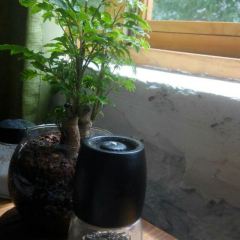 Xiao Man (Liu Zhuang Branch) User Photo