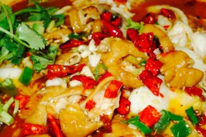 滨海渔港(东环路店)