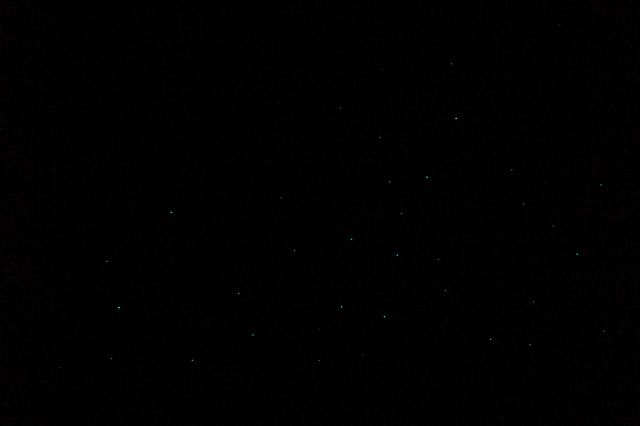 Glow Worm Tour