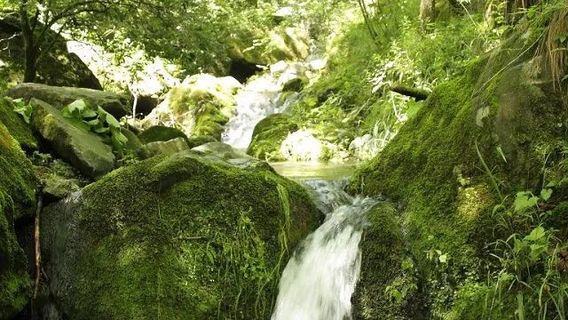 Zhashui Jiutian Mountain
