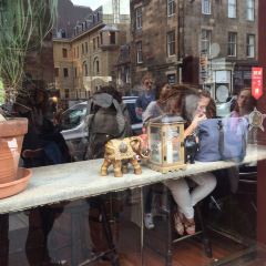 The Elephant House User Photo