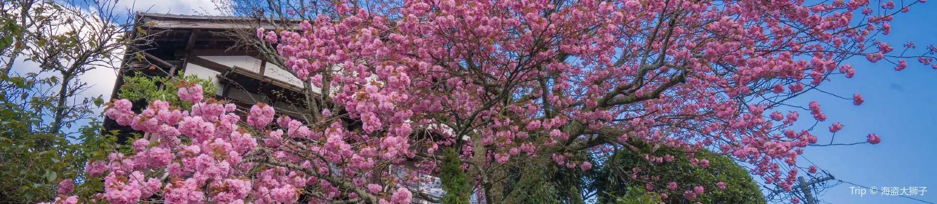 Blumenschau Attraktionen