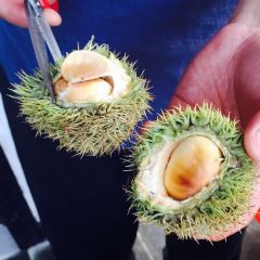 九华山友谊土菜馆小资餐厅 여행 사진