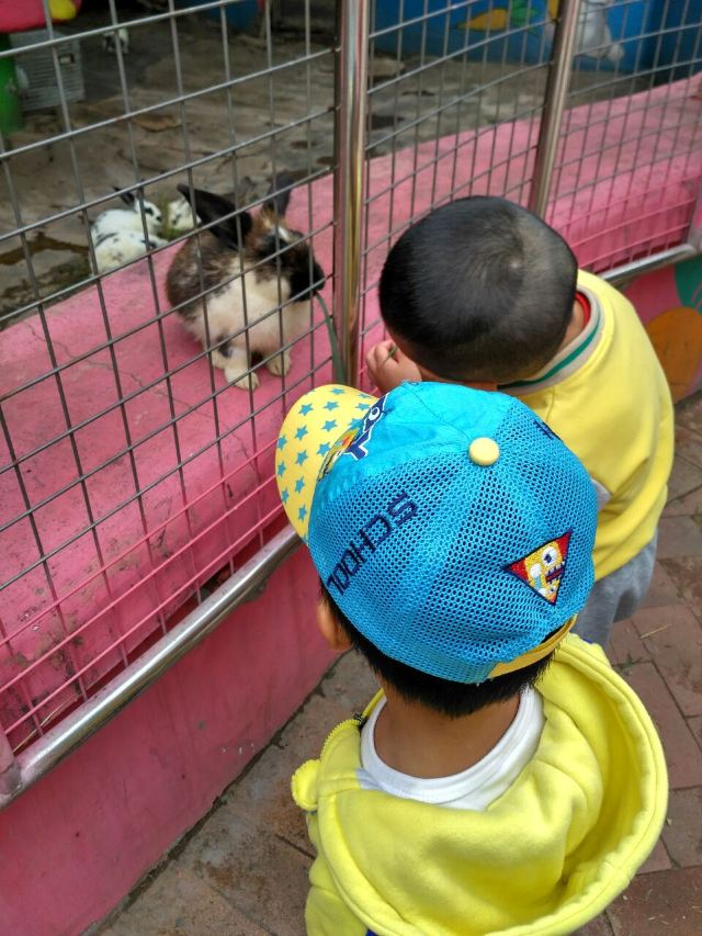 Qingdao Zoo
