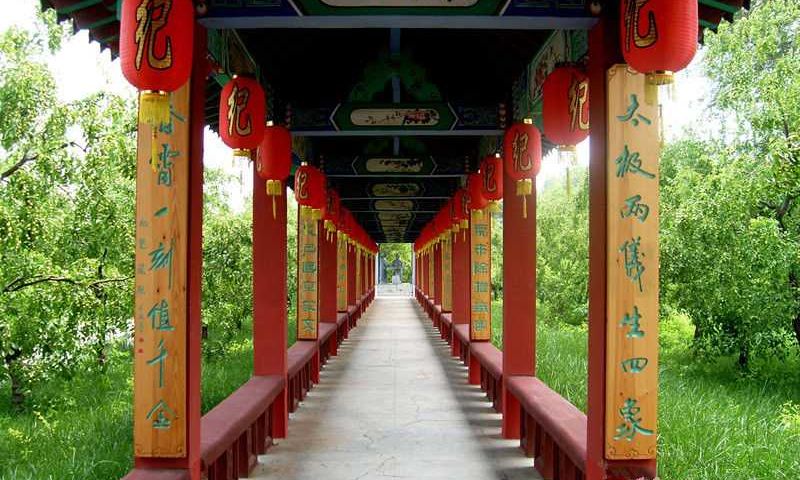 Cang CountyTravel services