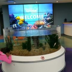 360 The Restaurant at the CN Tower User Photo