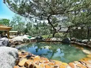 General Stone Hot Spring