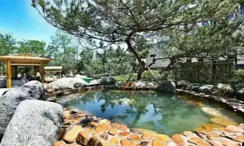 General Stone Hot Spring