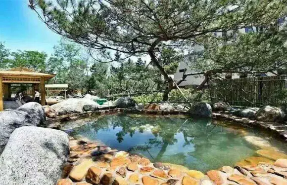 將軍石溫泉票券2人