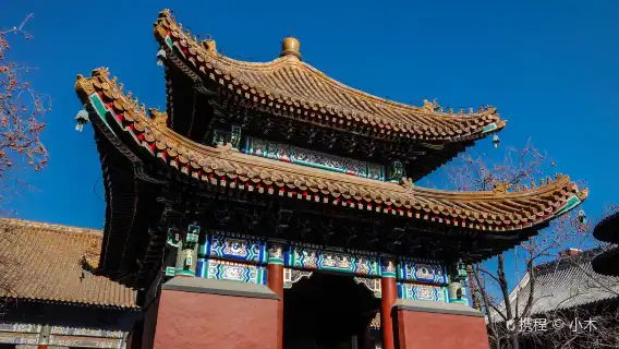 蝸牛文旅·雍和宮|多選項可選|資深講師|2.5小時深度遊|不包括門票