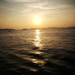 PU TUO SHAN LEI DI SEN ZHUANG YUAN User Photo