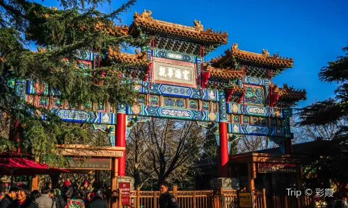 Lama Temple
