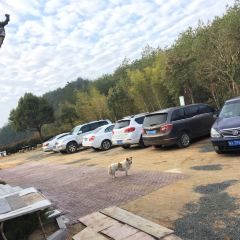天柱山桃园山庄农家乐 User Photo
