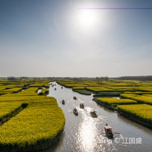 重遊泰州 慢遊養生境 尋覓塵世幸福遊記攻略 Trip Com遊玩攻略
