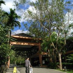 七仙嶺君瀾度假酒店7/5餐廳張用戶圖片