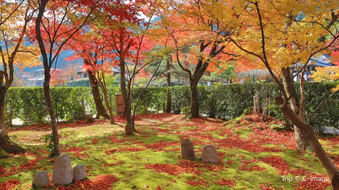 2_Adashino Nenbutsu-ji Temple