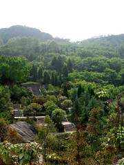 仏手山風景区