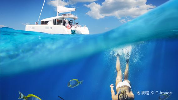 Snorkeling or Scuba Diving in Mauritius