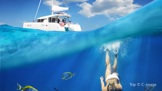 Snorkeling or Scuba Diving in Mauritius