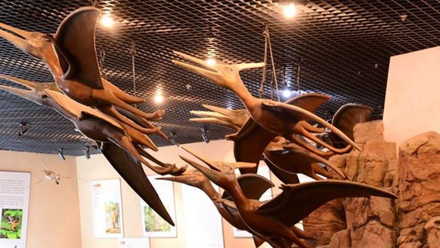 Pterosaur Fossil Museum