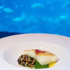 Ocean Restaurant User Photo