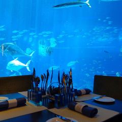 Ocean Restaurant User Photo