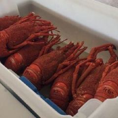 Nin's Bin User Photo