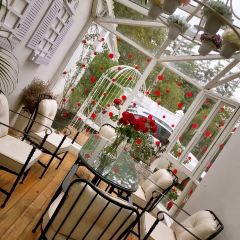 Puyan·Sweet magpie Dream manor User Photo