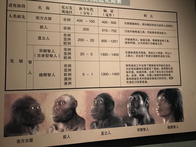 陝西曆史博物館