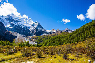Daocheng Yading