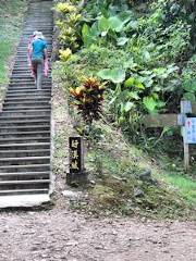 Longding Footpath