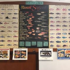 Kinpachi Japanese Restaurant User Photo