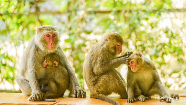 Shoushan Guojia Natural Park