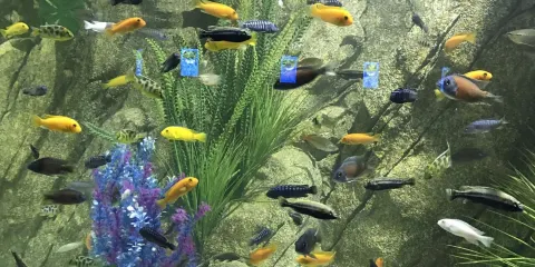 天譽歡樂海底世界