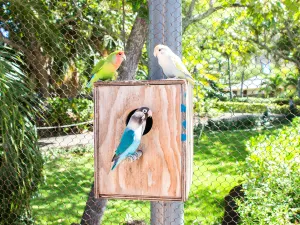Honolulu Zoo
