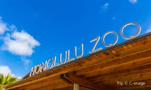 Honolulu Zoo